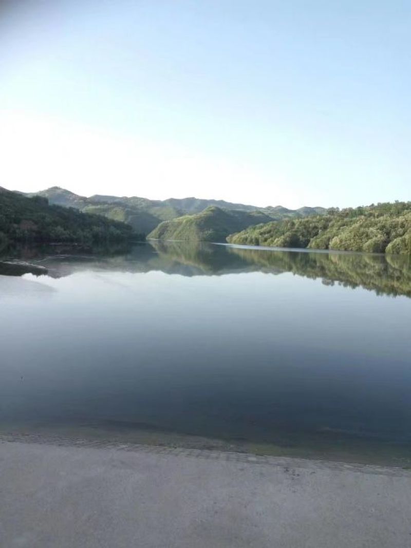 槐花蜜原生态原蜜42度包邮产地一件代发