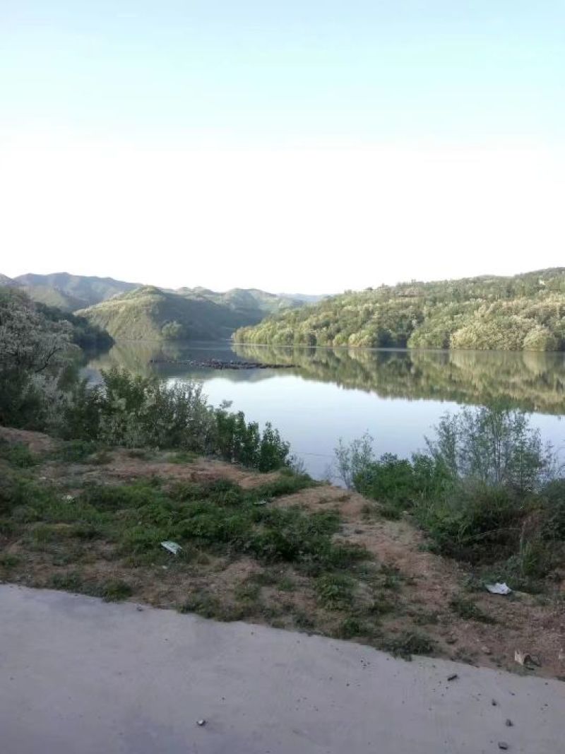 槐花蜜原生态原蜜42度包邮产地一件代发
