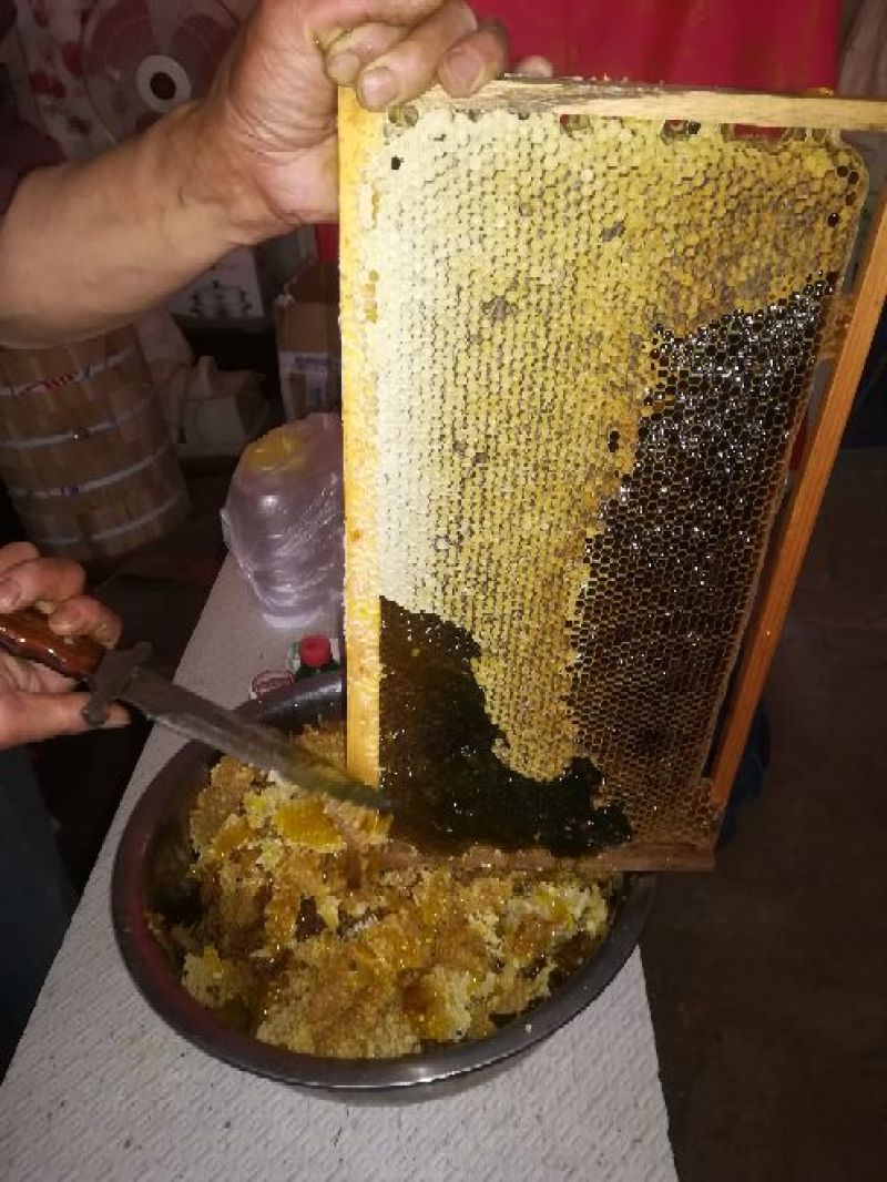 槐花蜜原生态原蜜42度包邮产地一件代发