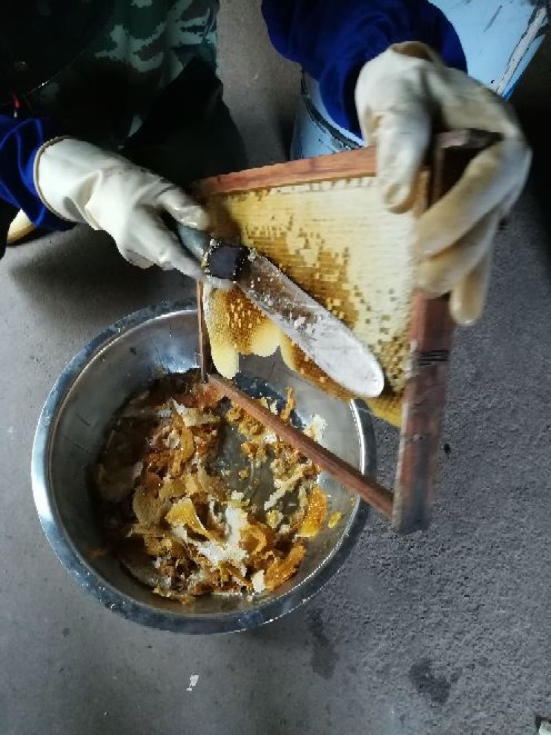 土蜂蜜老爸亲心亲力打理。土蜂，产量有限。
