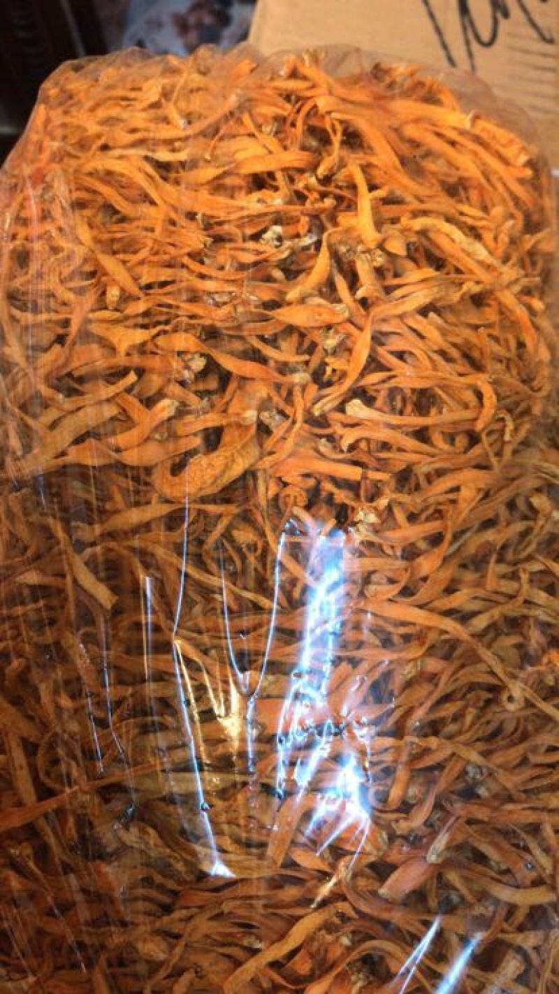 宁夏菌业大量批发虫草花质量保证干货欢迎下单联