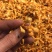 宁夏菌业大量批发虫草花质量保证干货欢迎下单联