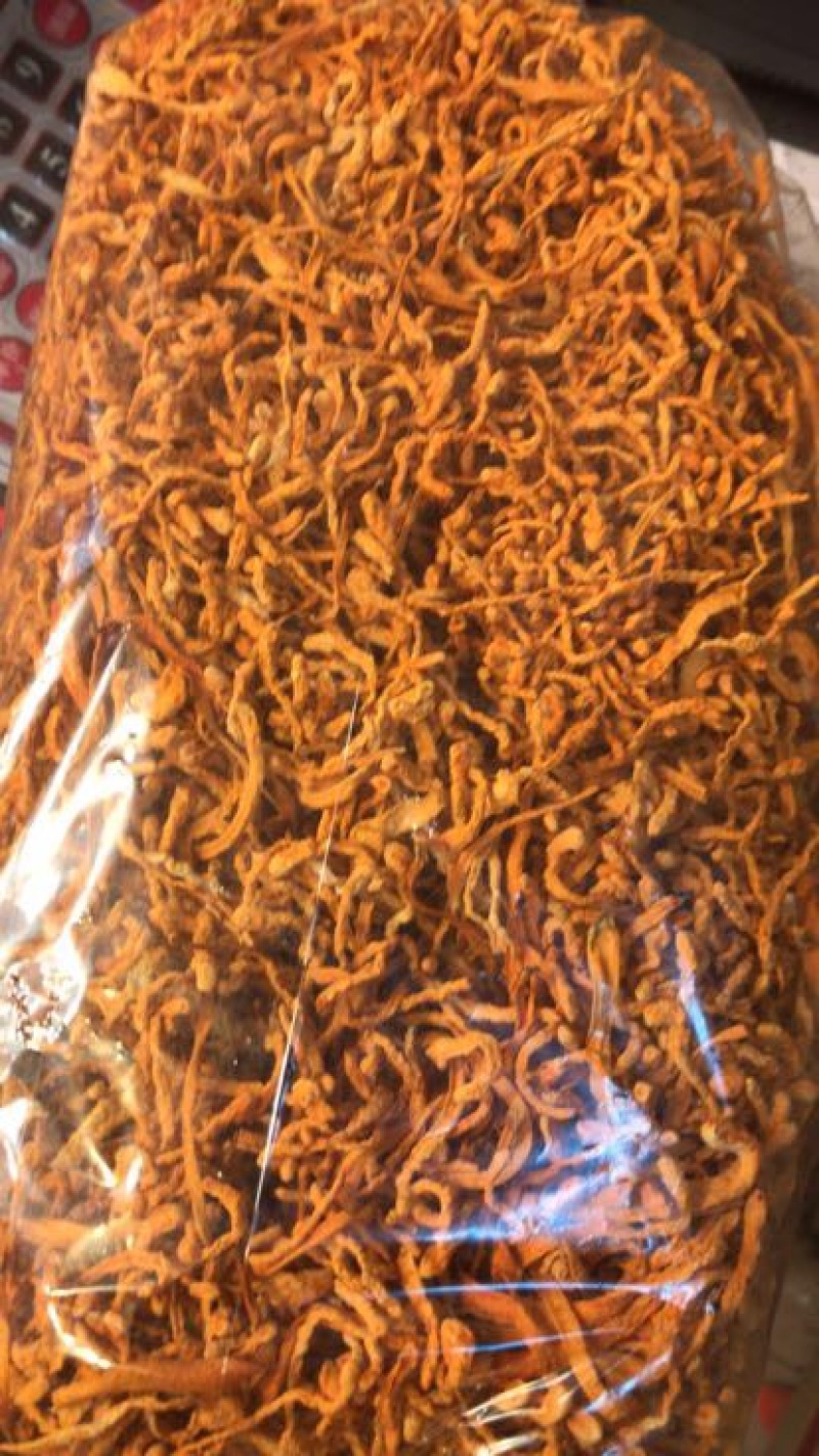 宁夏菌业大量批发虫草花质量保证干货欢迎下单联
