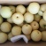 皇冠梨250~300g纸箱
