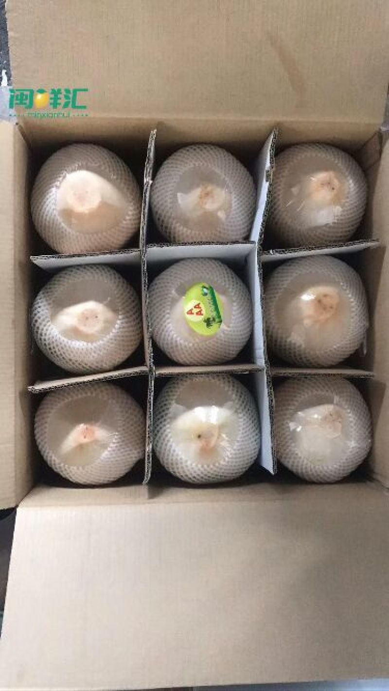 椰青1.5~2斤