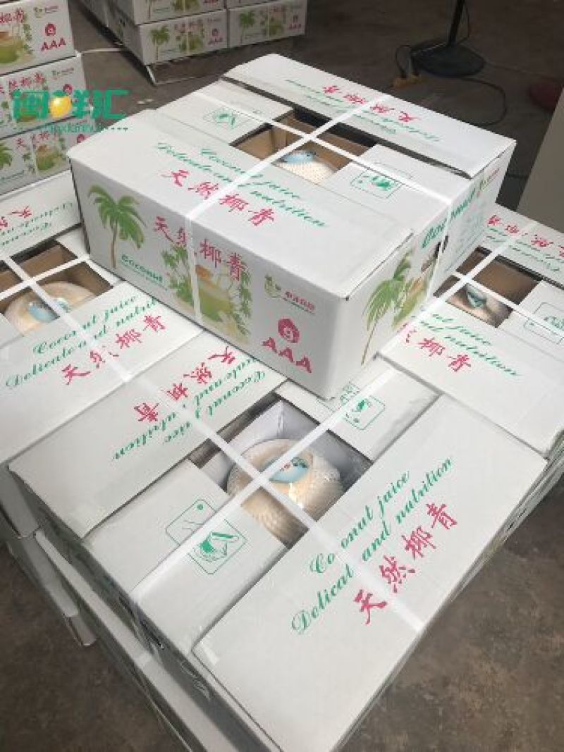 椰青1.5~2斤