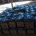 推荐密刺黄瓜万亩大棚精品黄瓜基地直发