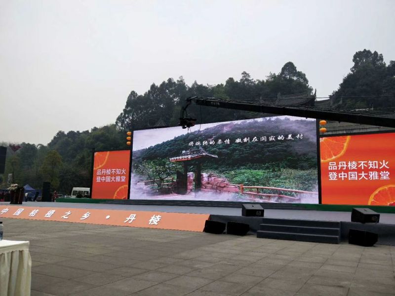 不知火柑橘苗50~80cm