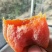 柿饼1~2两