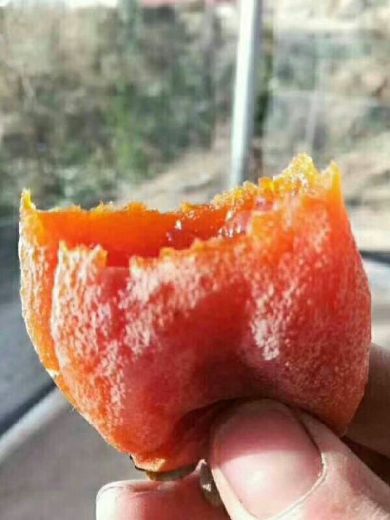 柿饼1~2两