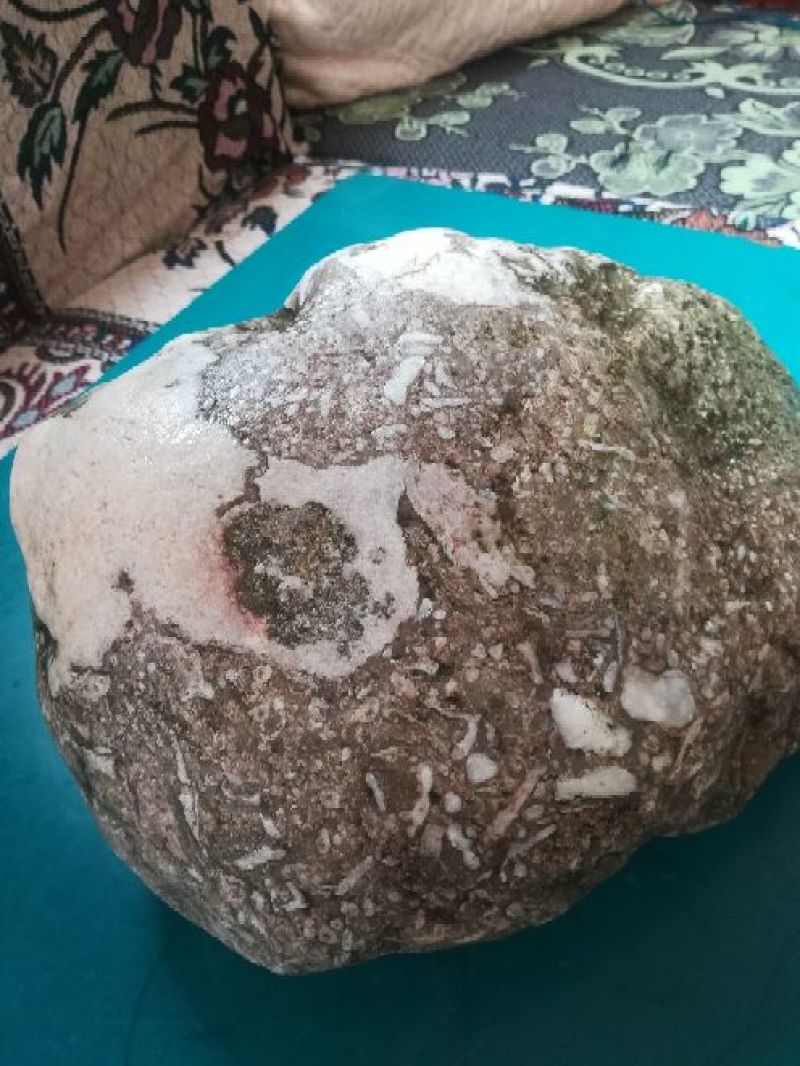 毛石化石