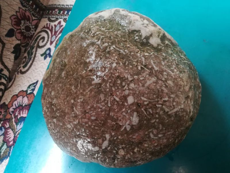 毛石化石