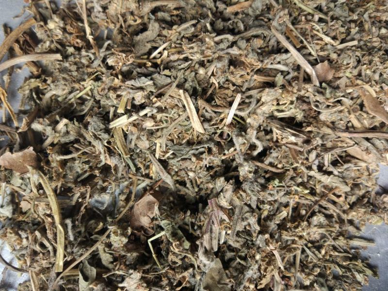 白毛夏枯草散血草正品保障可打粉中药专营品质保证