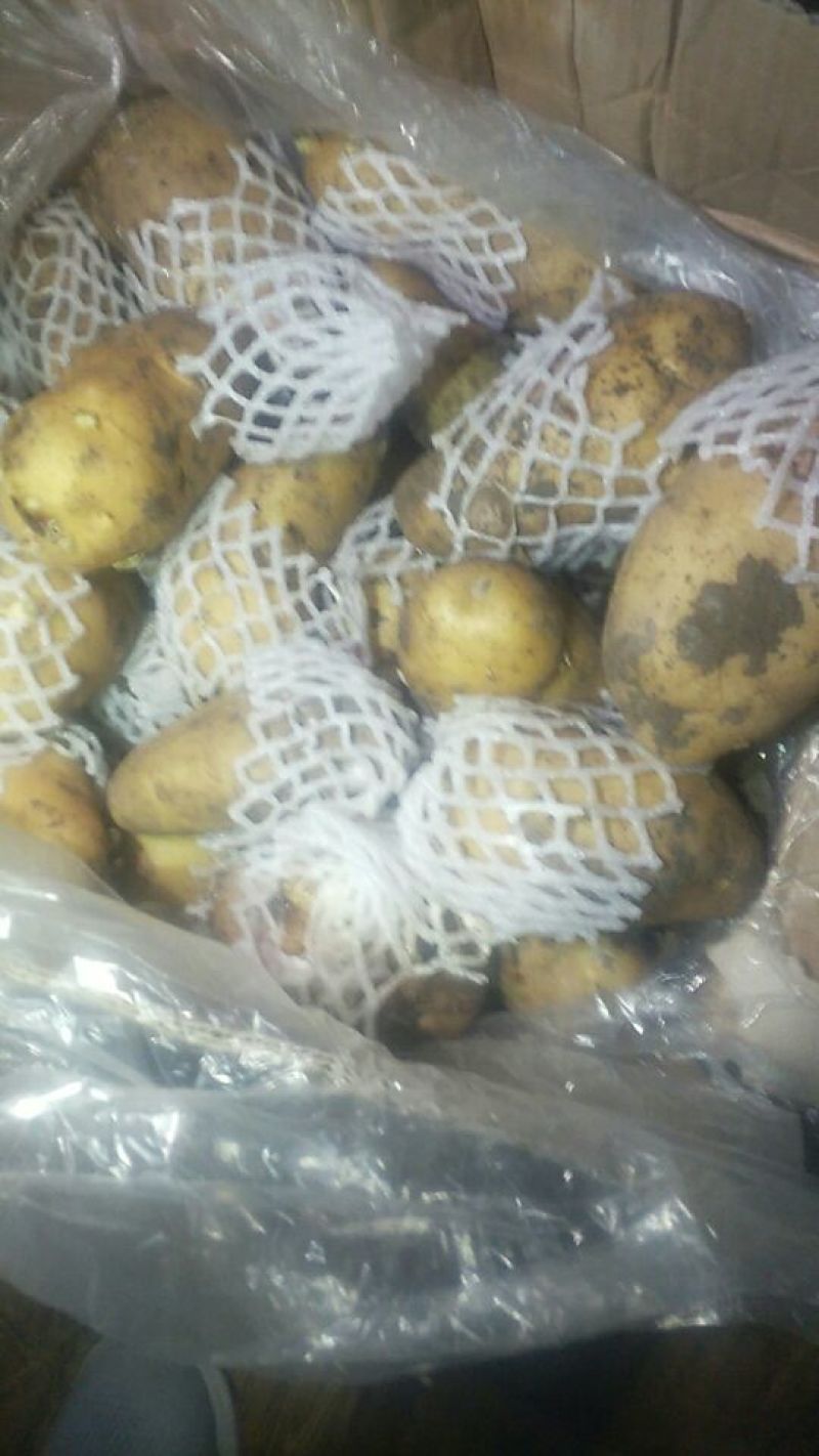 荷兰十五土豆精品3两以上