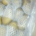 荷兰十五土豆精品3两以上