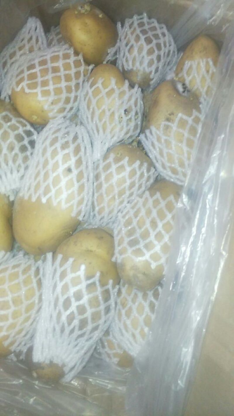 荷兰十五土豆精品3两以上