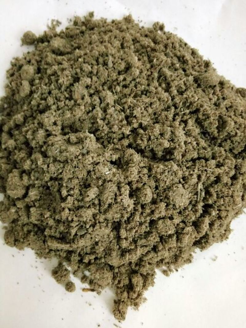 鱼粉