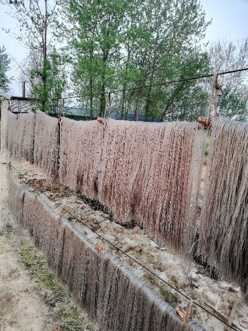 红薯粉丝散装