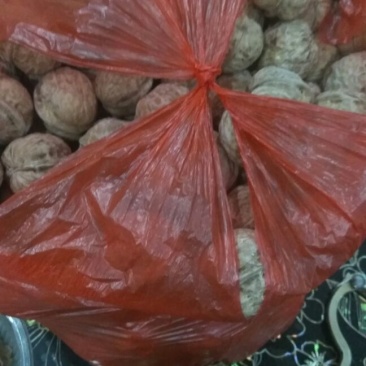 薄皮核桃25~30mm去皮干