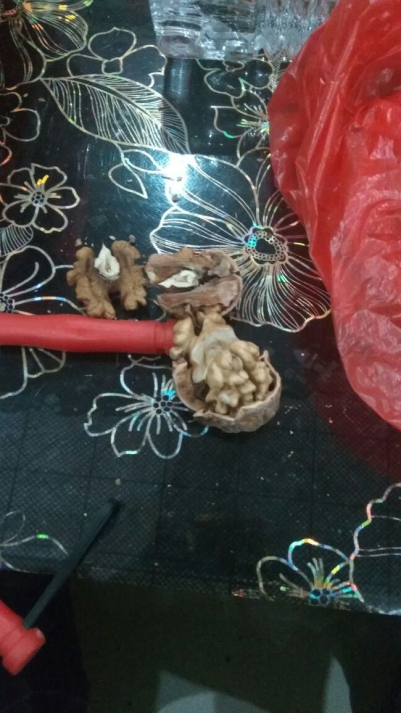 薄皮核桃25~30mm去皮干