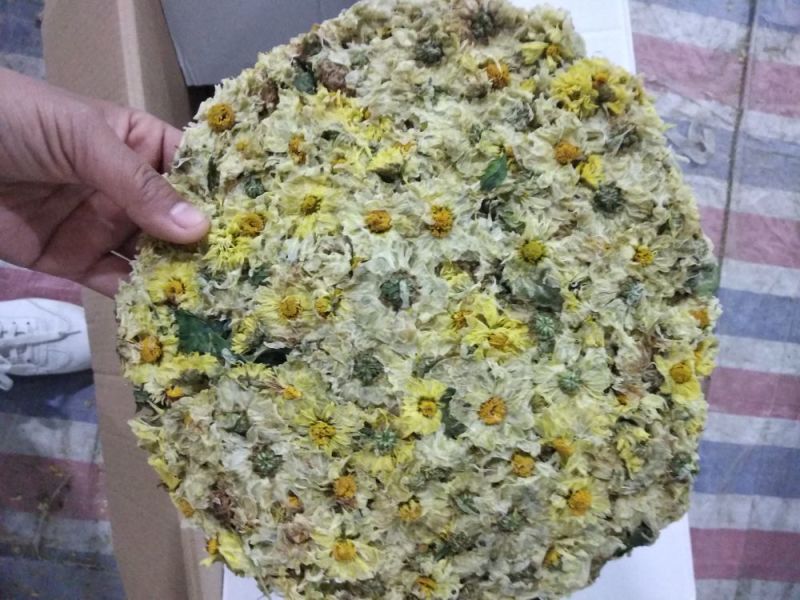 杭白菊散装