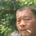 金太阳杏，丰园红杏，凯特杏，珍珠油杏，金寿杏产地合作社