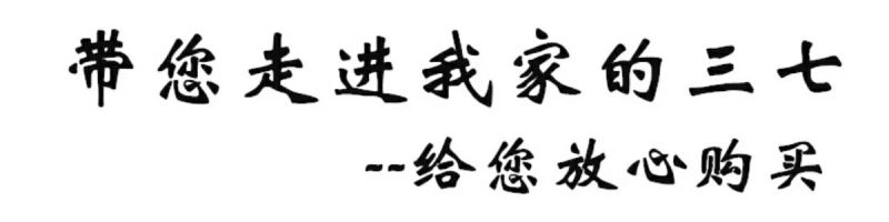 三七干货选货45头产地批发价