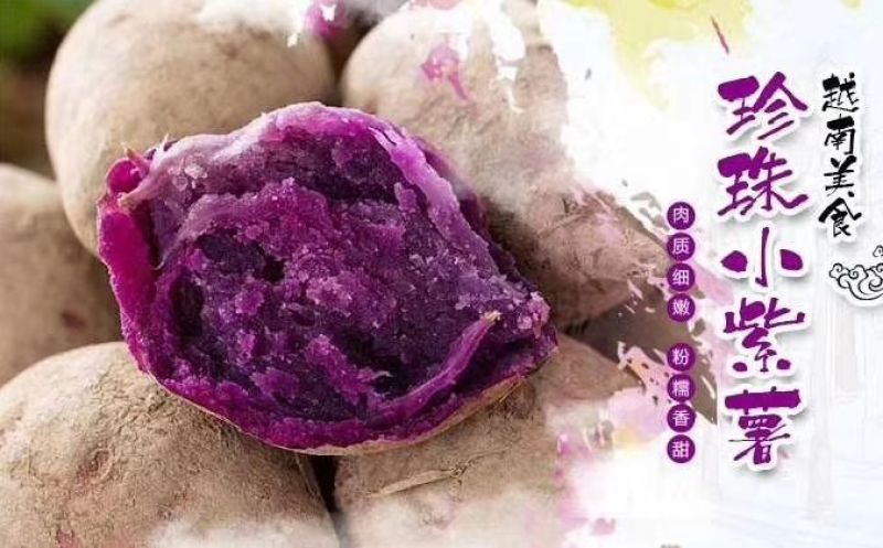 紫薯3两以上小红薯紫心