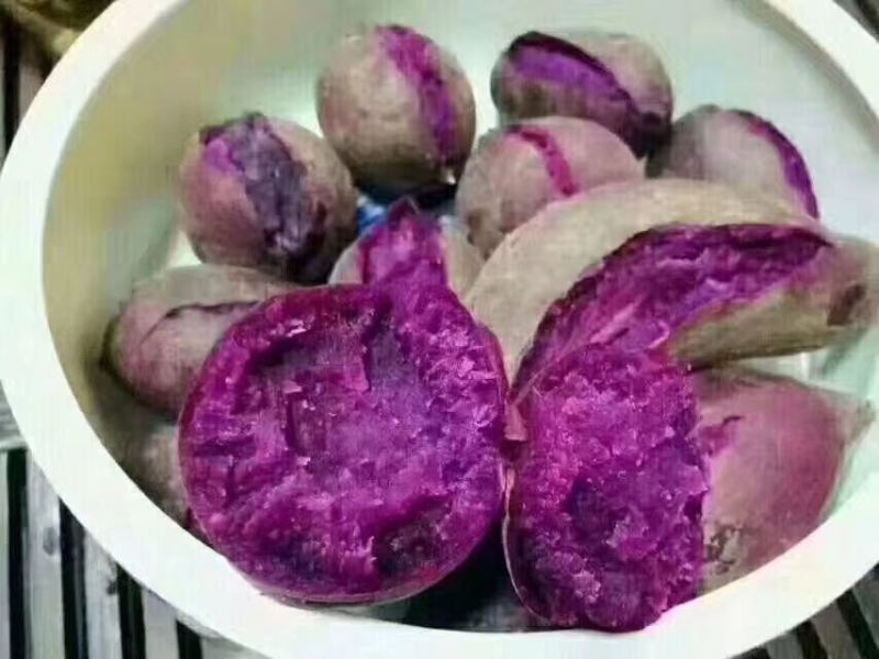 紫薯3两以上小红薯紫心