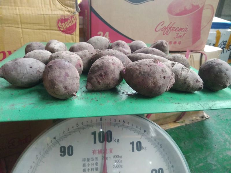 紫薯3两以上小红薯紫心