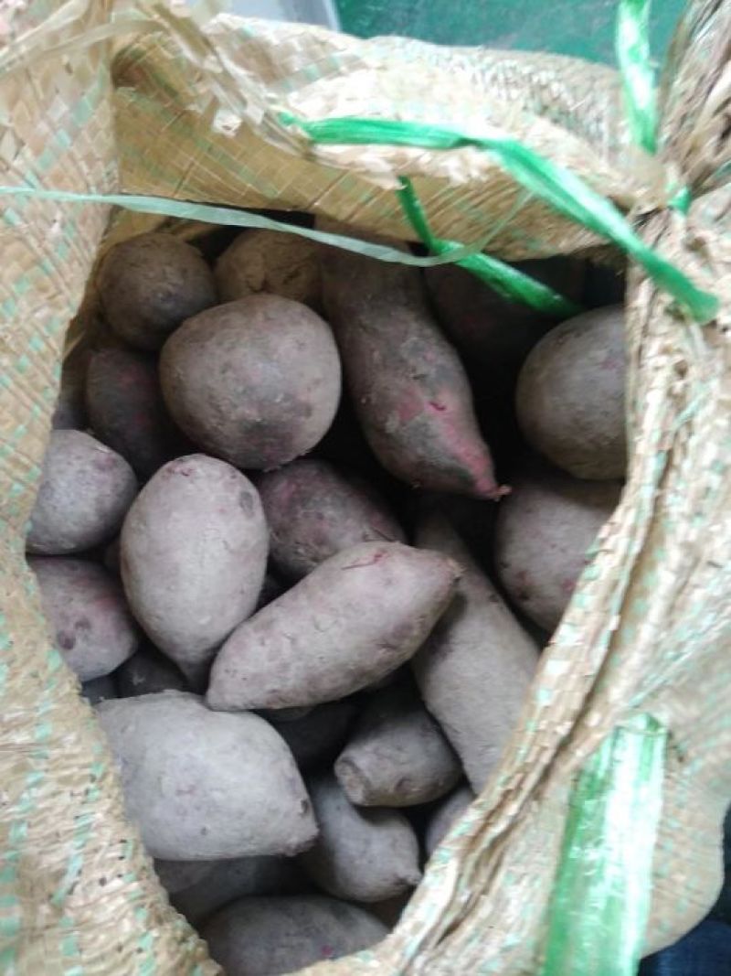紫薯3两以上小红薯紫心
