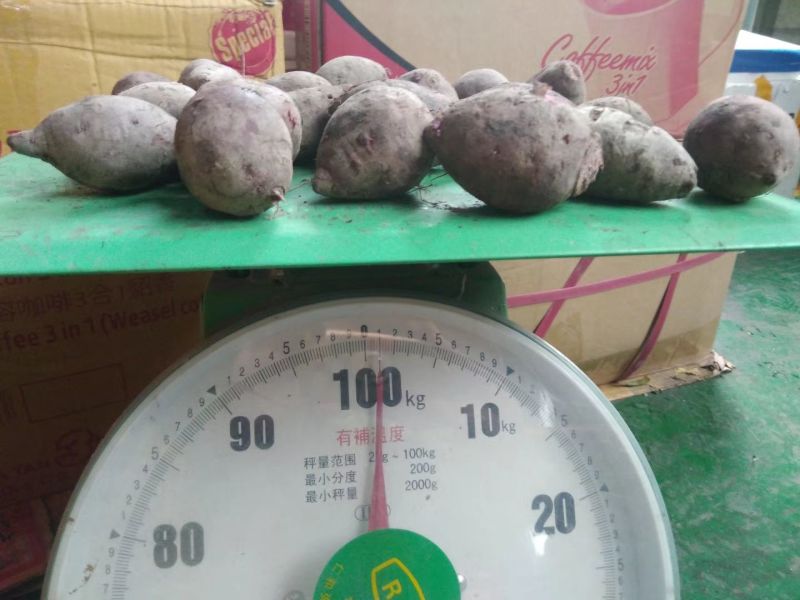 紫薯3两以上小红薯紫心
