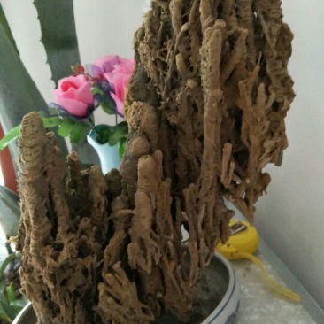 上水石