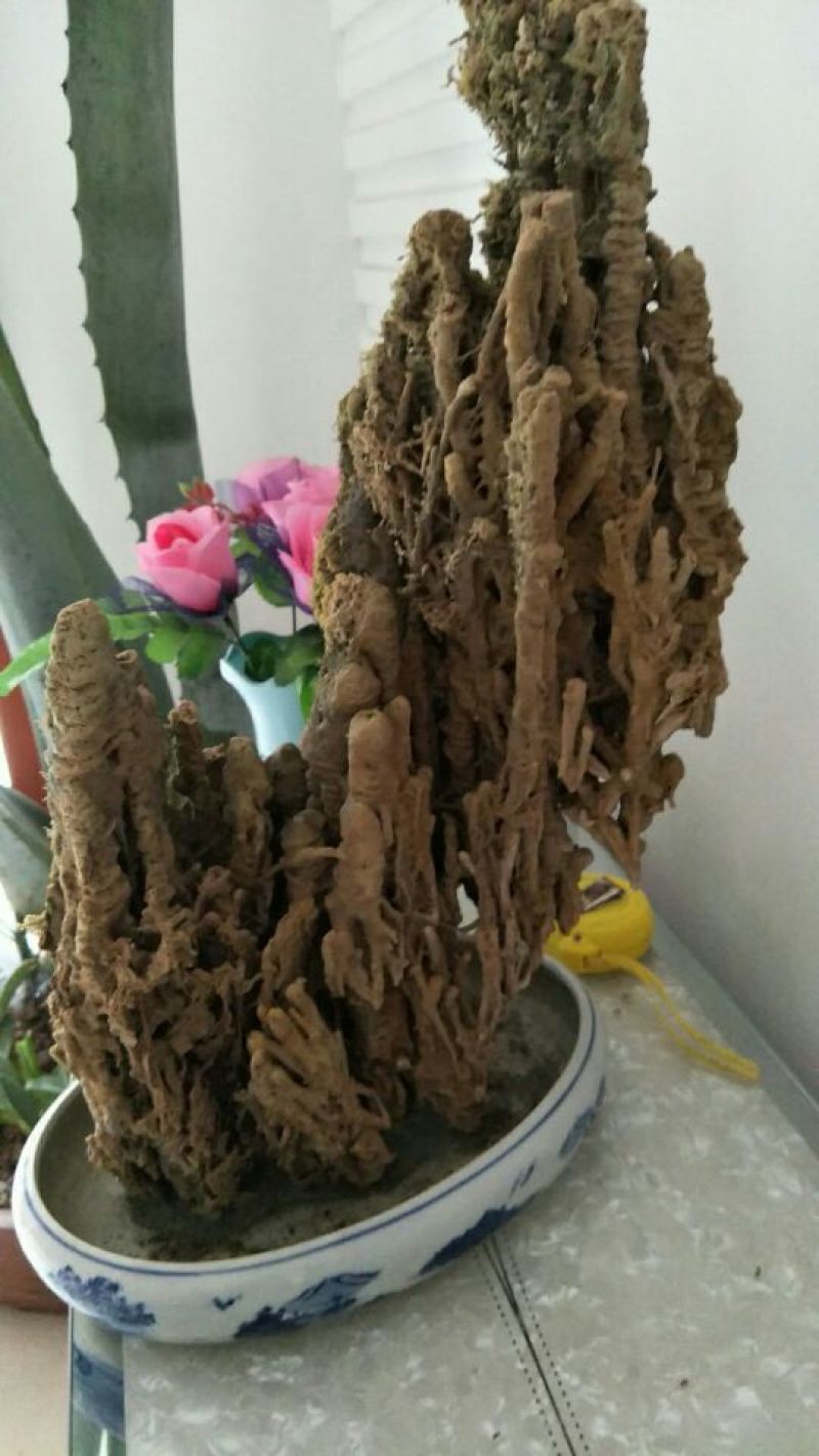 上水石