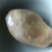 鸭宝