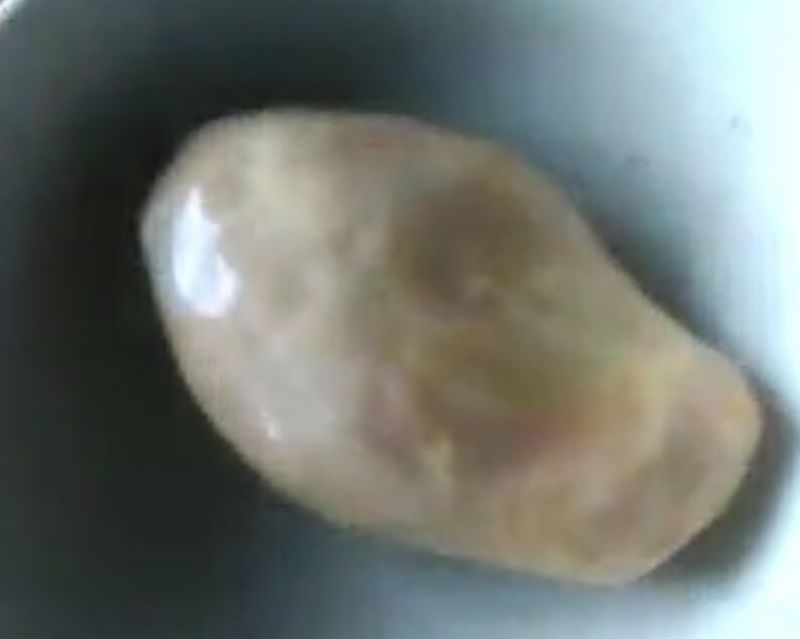 鸭宝