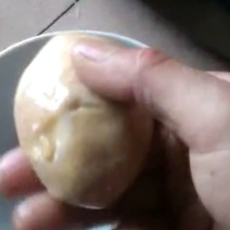 鸭宝