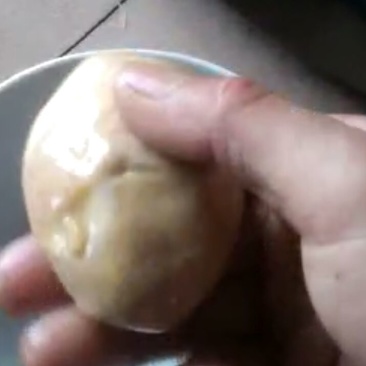 鸭宝