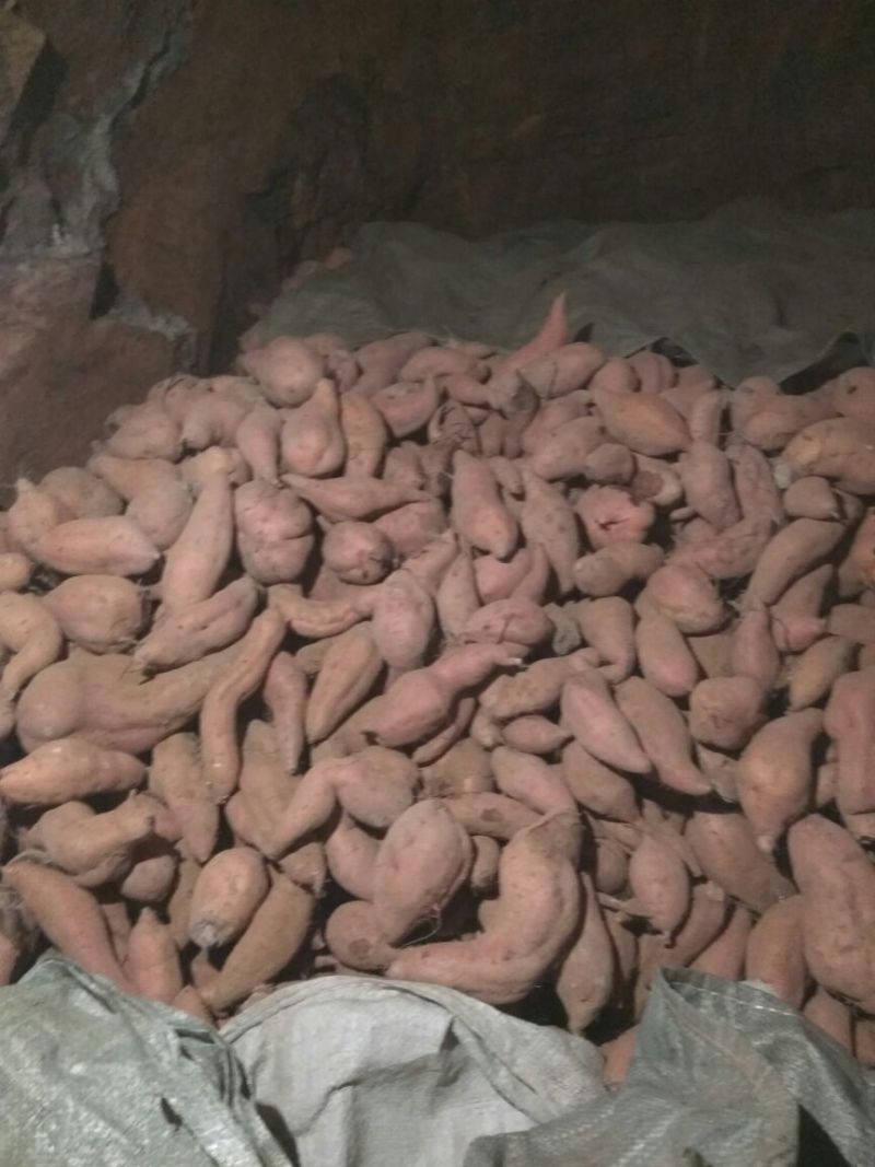 红香蕉红薯通货红心3两以上