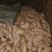 红香蕉红薯通货红心3两以上