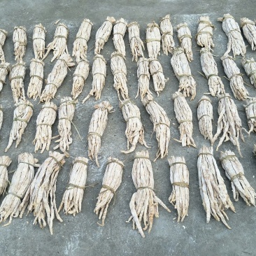干笋