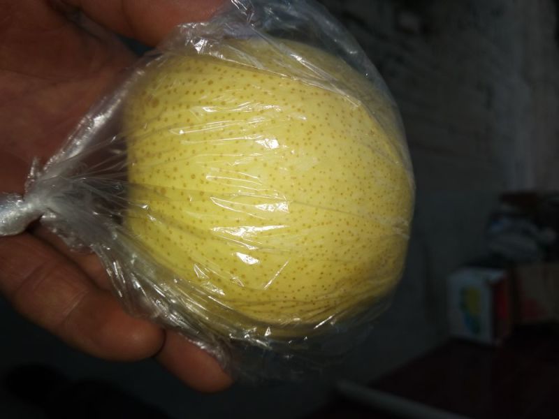 酥梨光150~200g