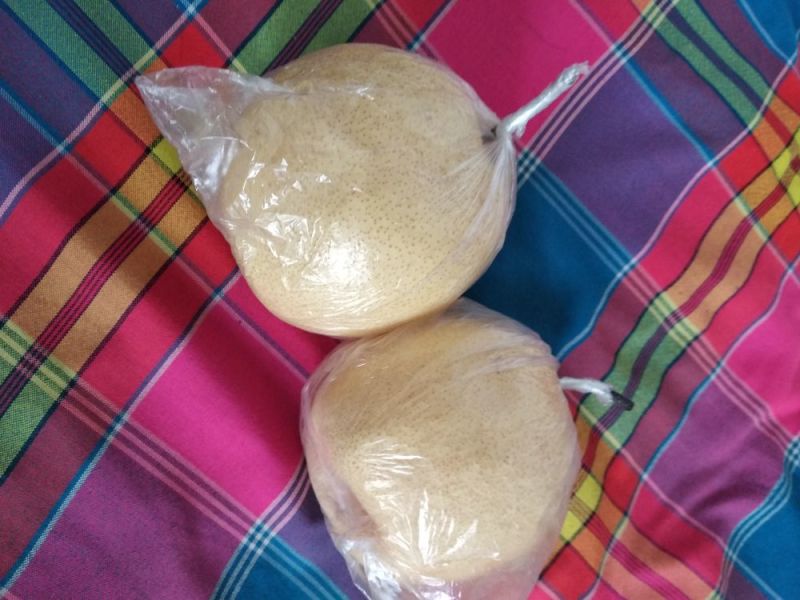 酥梨光150~200g