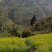 奉节脐橙65~70mm72-1纯甜脐橙