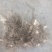 黄精种苗，统货纯野生一至两年苗。
