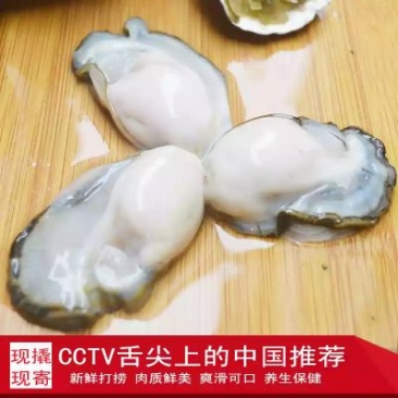 生蚝3只/斤