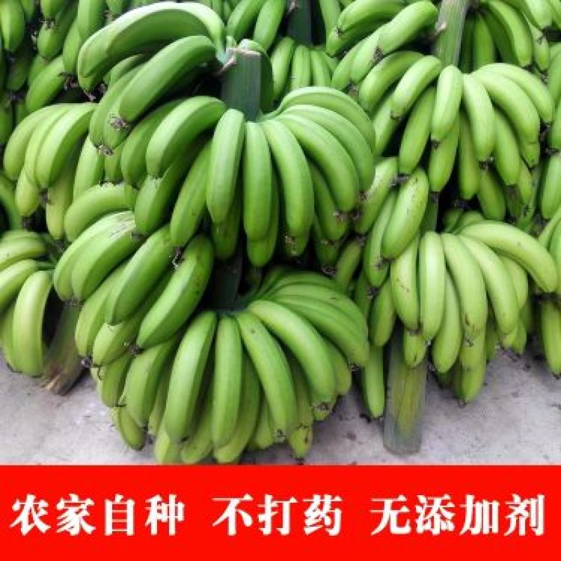 香蕉七成熟