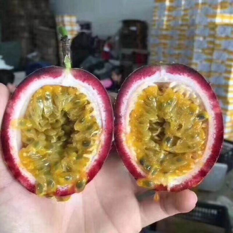 百香果60~70g紫果