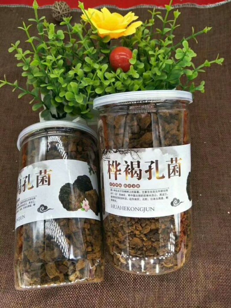 白桦茸