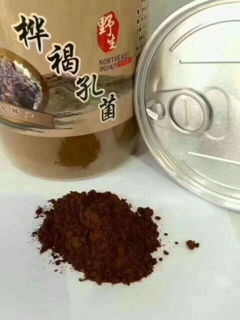 白桦茸